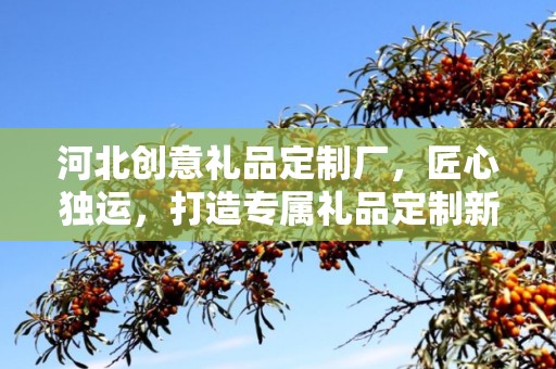 河北创意礼品定制厂，匠心独运，打造专属礼品定制新体验